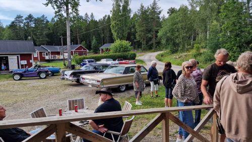 Finbilsfika 15