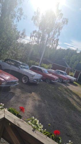 Finbilsfika 18